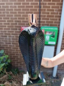 A pair of resin based, cobra styled, candlesticks in great condition.